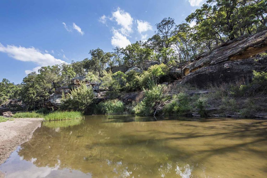 goulburn river national park gem fossiking walking hiking nature goanna